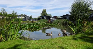 Atlas Debonaire Meadowfield 8 price reduced