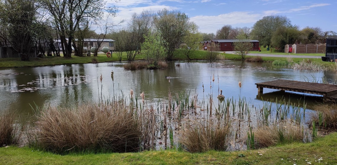 Atlas Lilac 40 20 Meadowfield 7