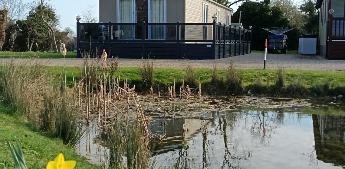 Ting Dene Savanna 45/14 MF2