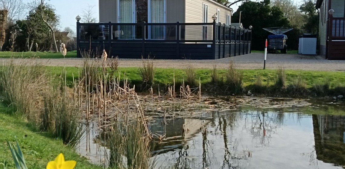 Ting Dene Savanna 45/14 MF2