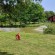 Countryside 17 (CS17)